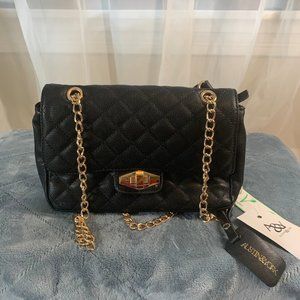 NWT Austin and York handbag